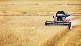 В хозяйстве Тамбовской области рассказали о работе комбайнов Ростсельмаш